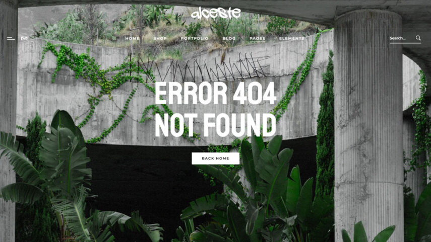 404 404
