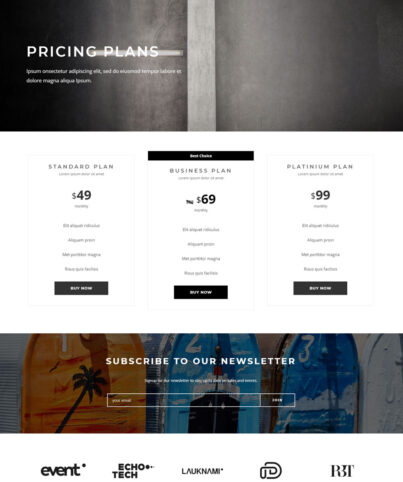 pricing pricing